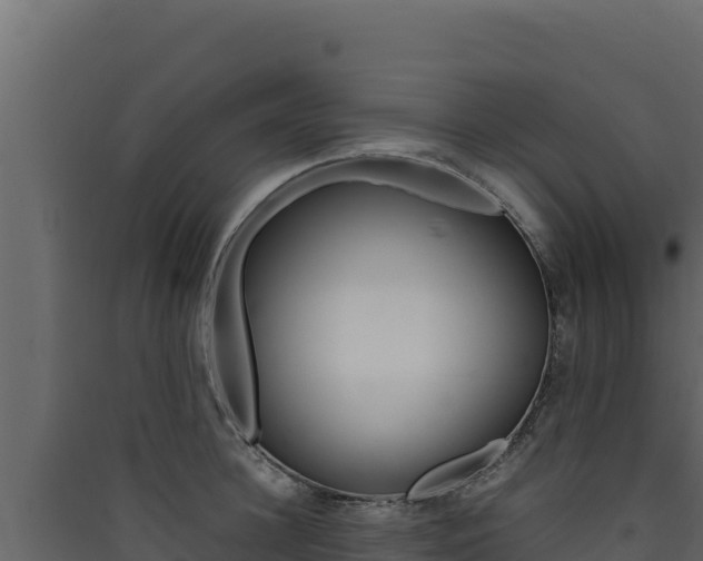 X0000090430948200707131005