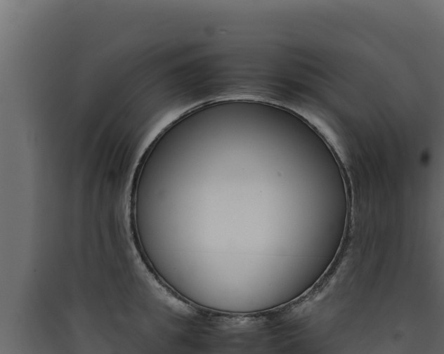 X0000090430949200707131005