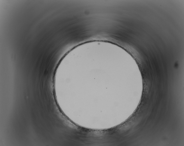 X0000090430950200707131005