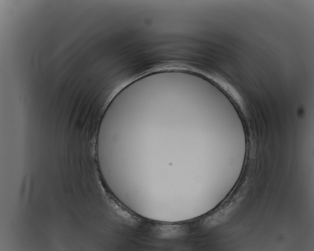 X0000090430953200707131005