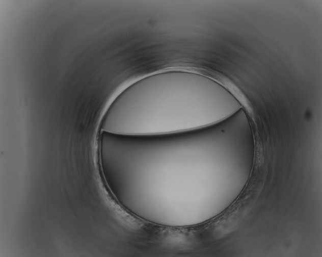 X0000090430955200707131006