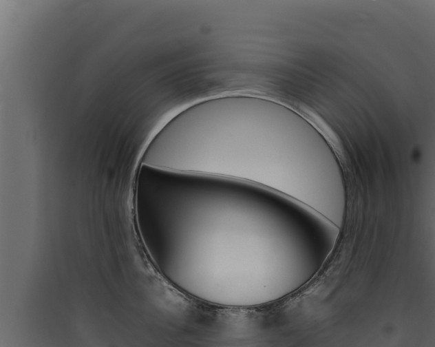 X0000090430956200707131006