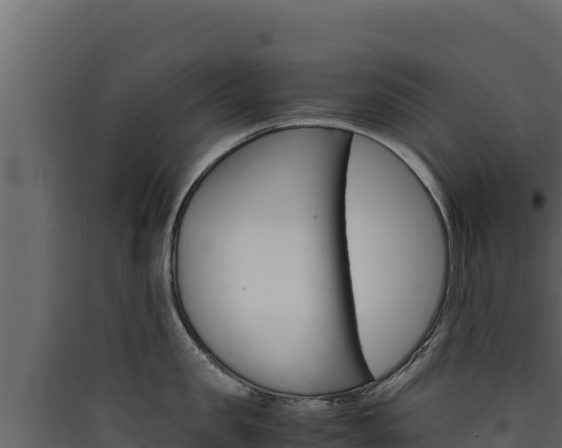 X0000090430957200707131006