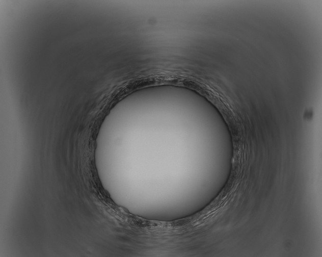 X0000090430961200707131005