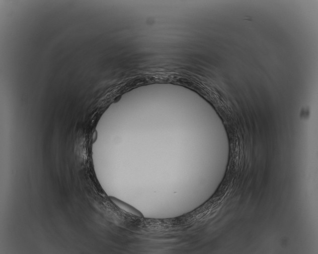 X0000090430962200707131005