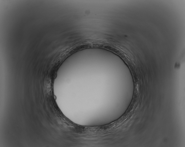 X0000090430963200707131005
