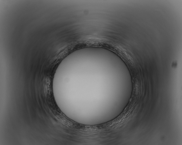 X0000090430964200707131005