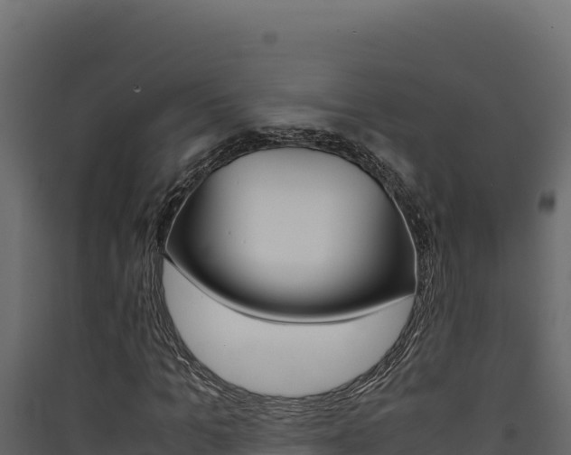 X0000090430965200707131005