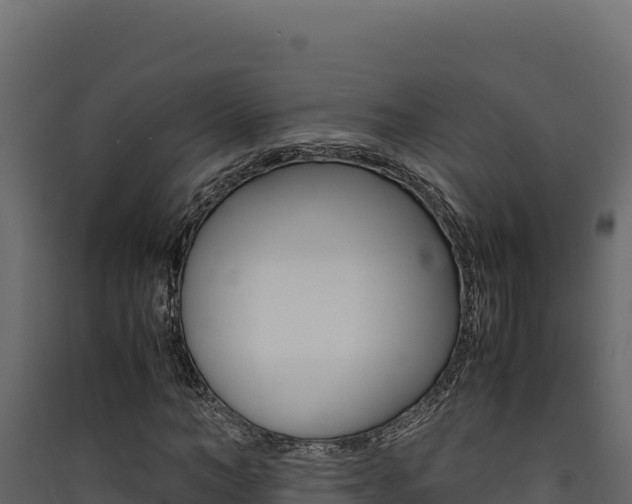X0000090430966200707131005