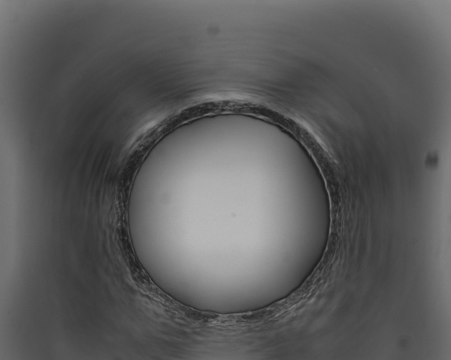 X0000090430967200707131005
