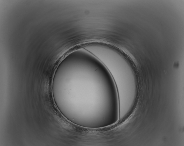 X0000090430969200707131005
