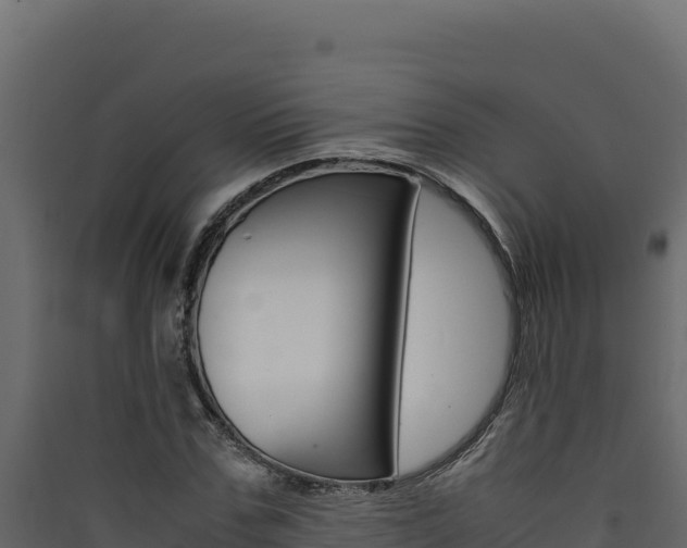 X0000090430971200707131005