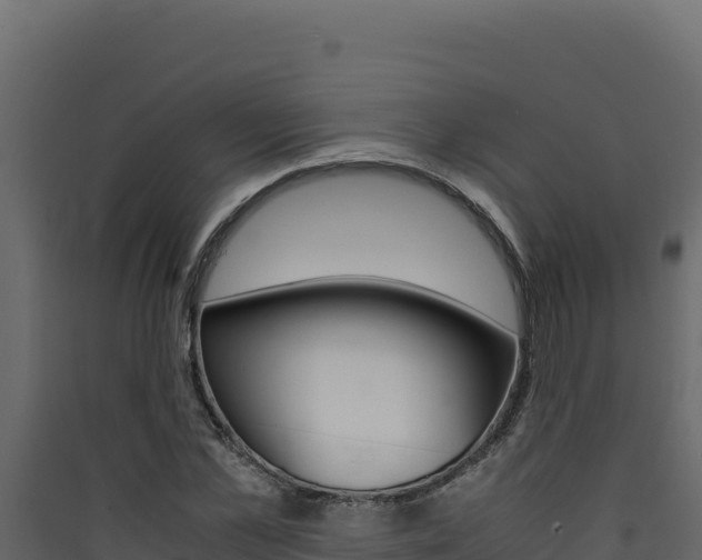 X0000090430973200707131005