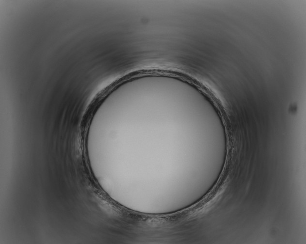 X0000090430974200707131005