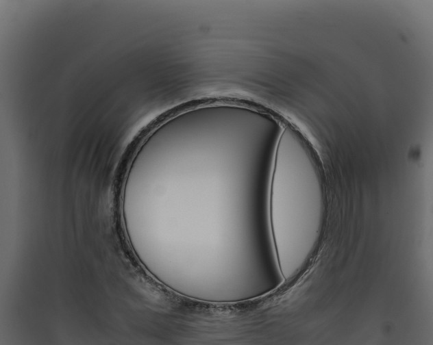 X0000090430975200707131005