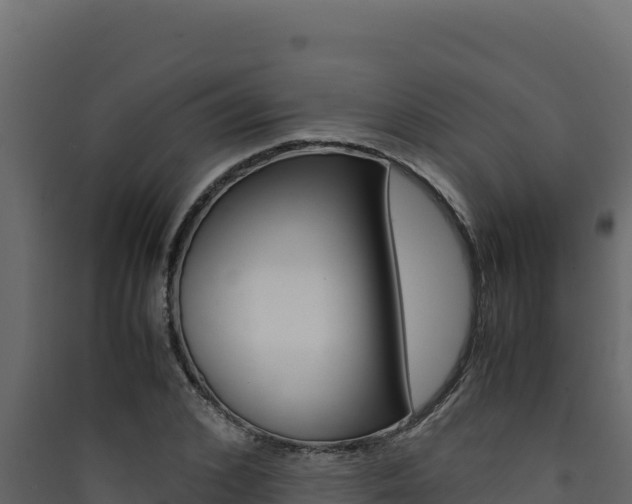 X0000090430976200707131004