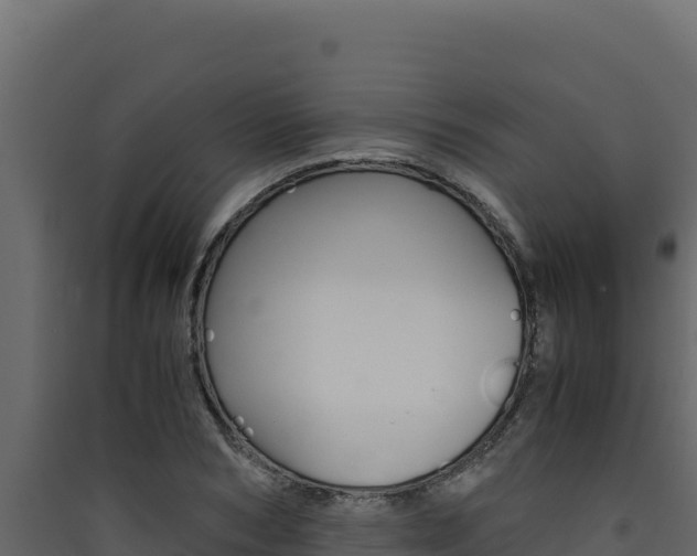 X0000090430978200707131004