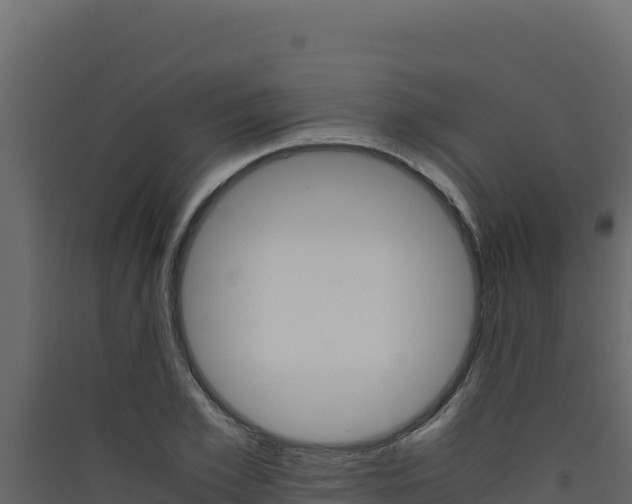 X0000090430981200707131004