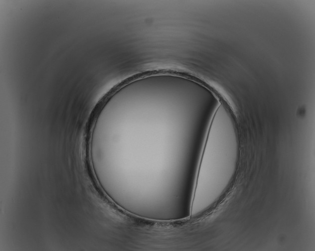 X0000090430983200707131004