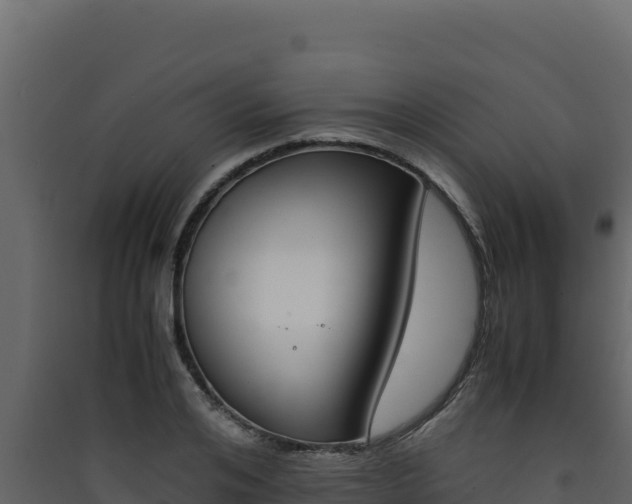 X0000090430984200707131004