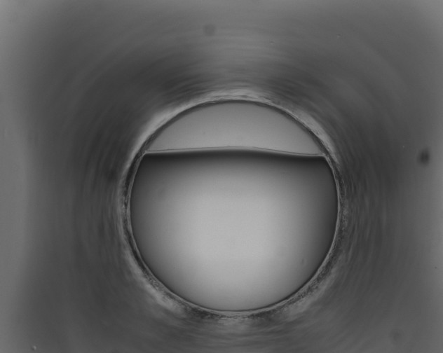 X0000090430989200707131004