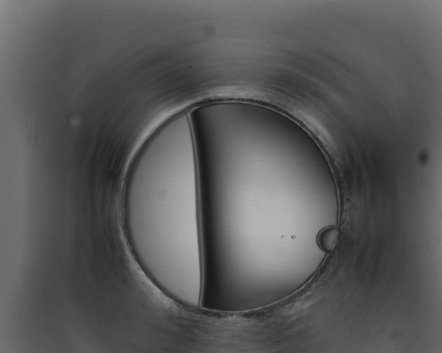 X0000090430992200707131004