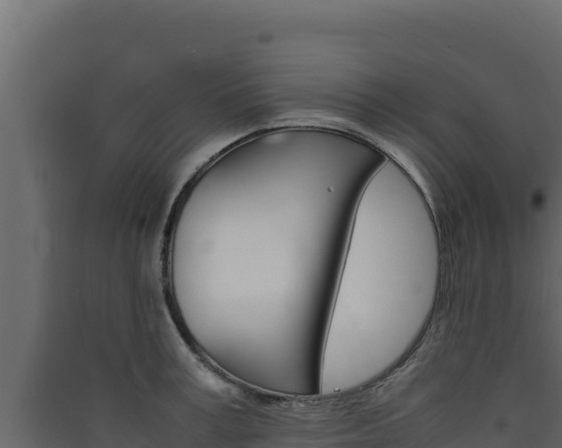 X0000090430995200707131004