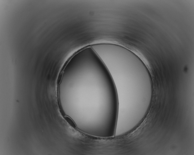 X0000090430996200707131004