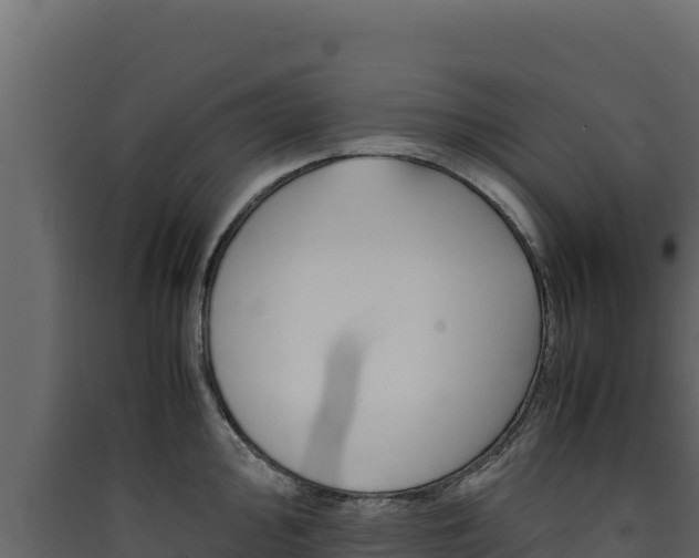 X0000090431000200707131004