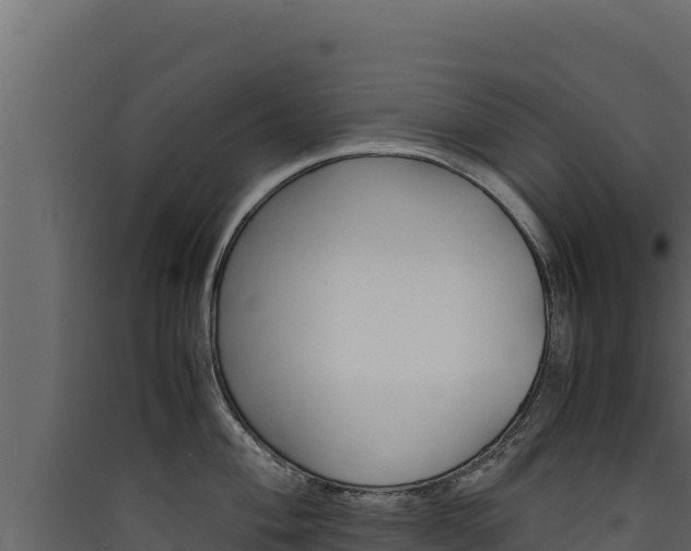 X0000090431004200707131004