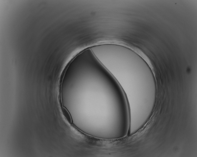 X0000090431005200707131004