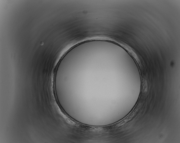 X0000090431006200707131004