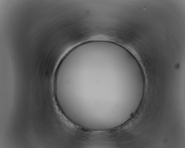 X0000090431008200707131004