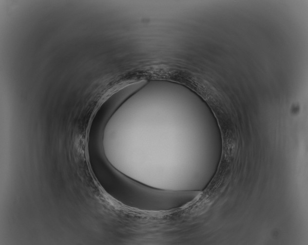 X0000090431010200707131003