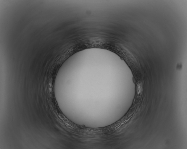 X0000090431011200707131003