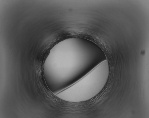 X0000090431012200707131003