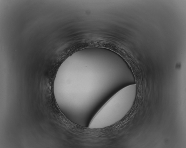 X0000090431013200707131003