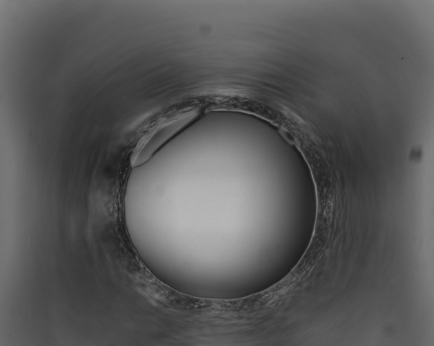 X0000090431014200707131003