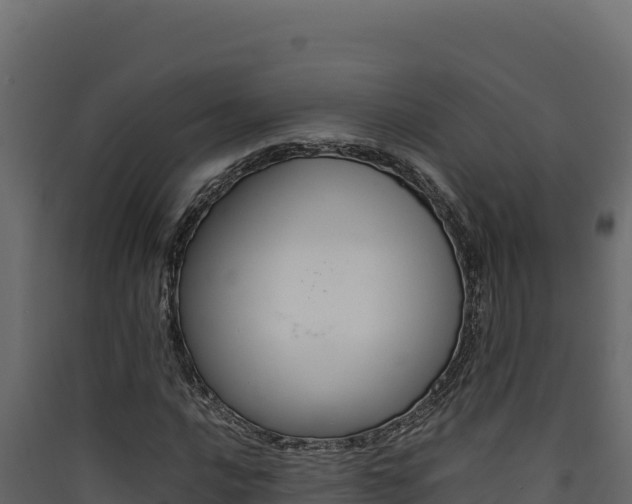 X0000090431016200707131003