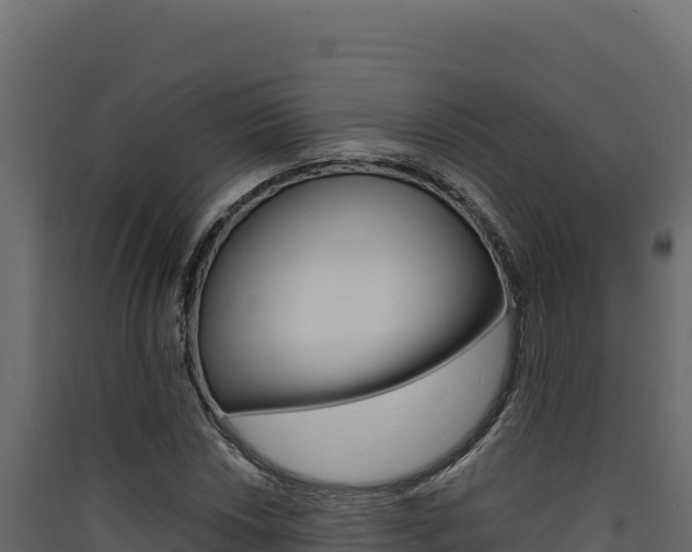 X0000090431018200707131003