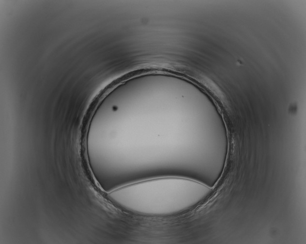 X0000090431020200707131003