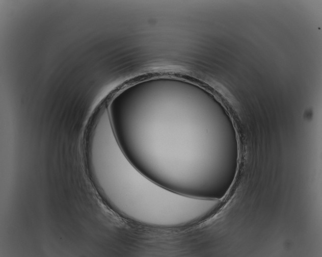 X0000090431022200707131003