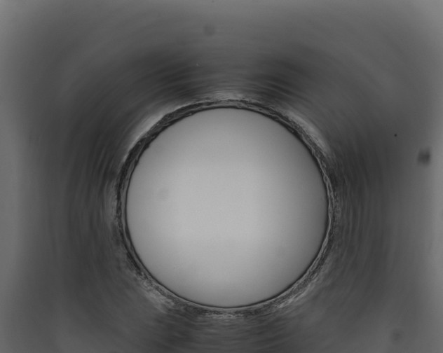 X0000090431023200707131003