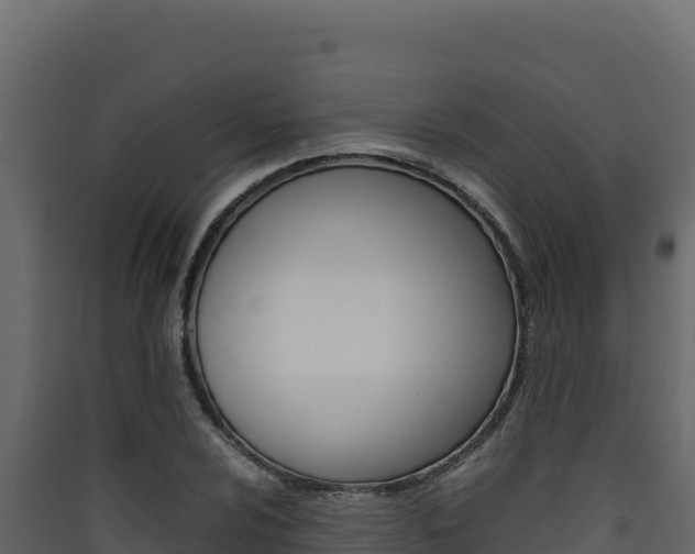 X0000090431024200707131003