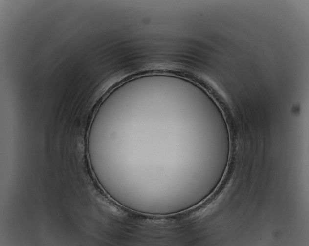X0000090431025200707131003