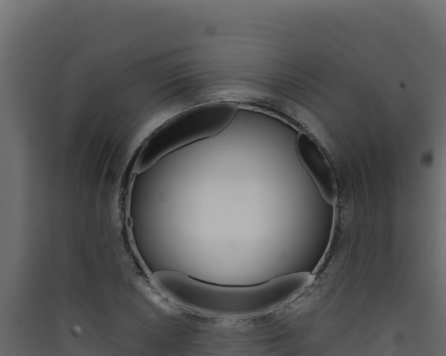 X0000090431026200707131003