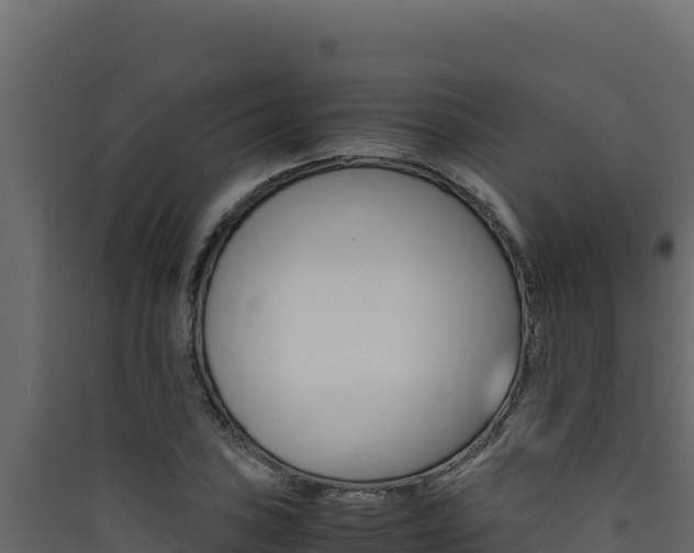 X0000090431027200707131003