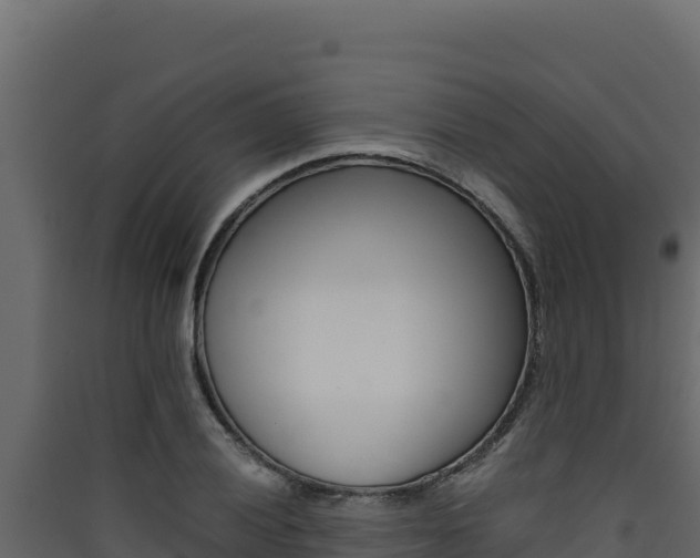 X0000090431028200707131004