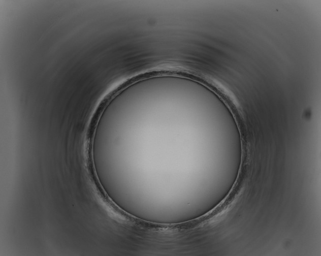 X0000090431029200707131004