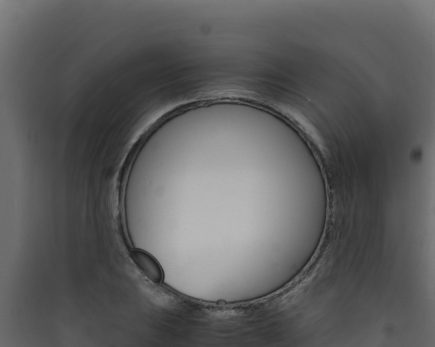X0000090431031200707131004